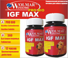 Витамины WOLMAR для собак
