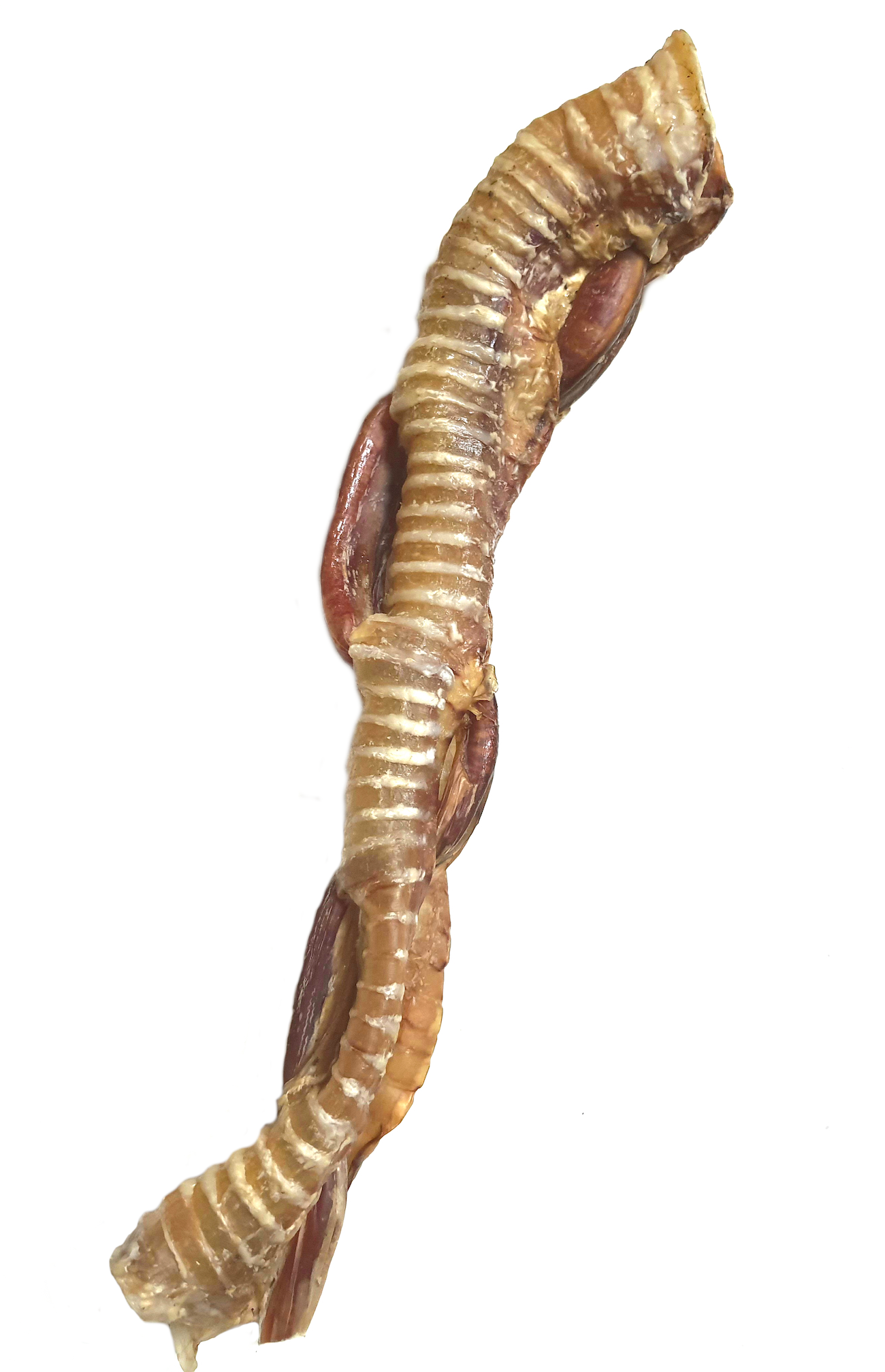 Большой крокет (трахея и корень)