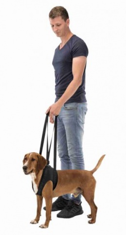 Поддерживающая шлейка для собак, L: 65-75 см/25-35 кг 