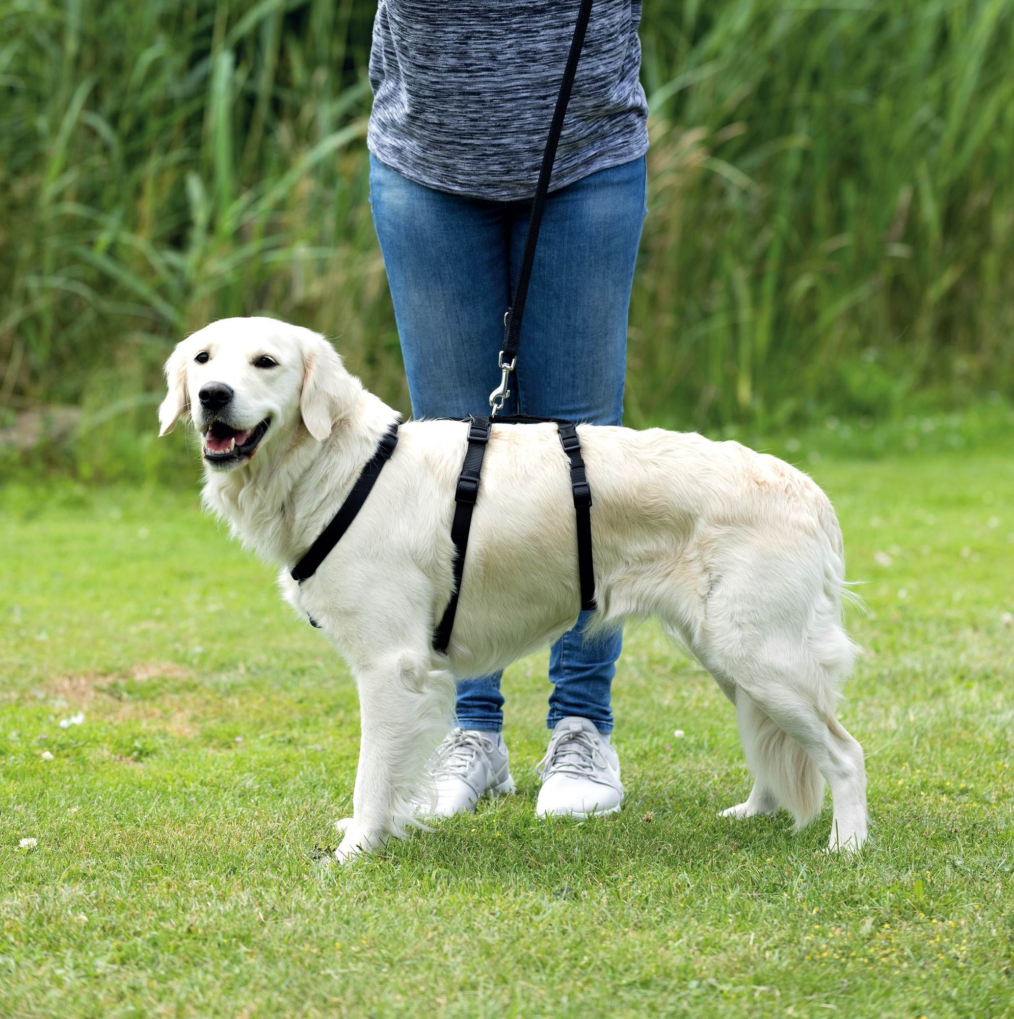 Trixie Шлейка для неуверенных собак , L–XL: 65–105 см/25 мм