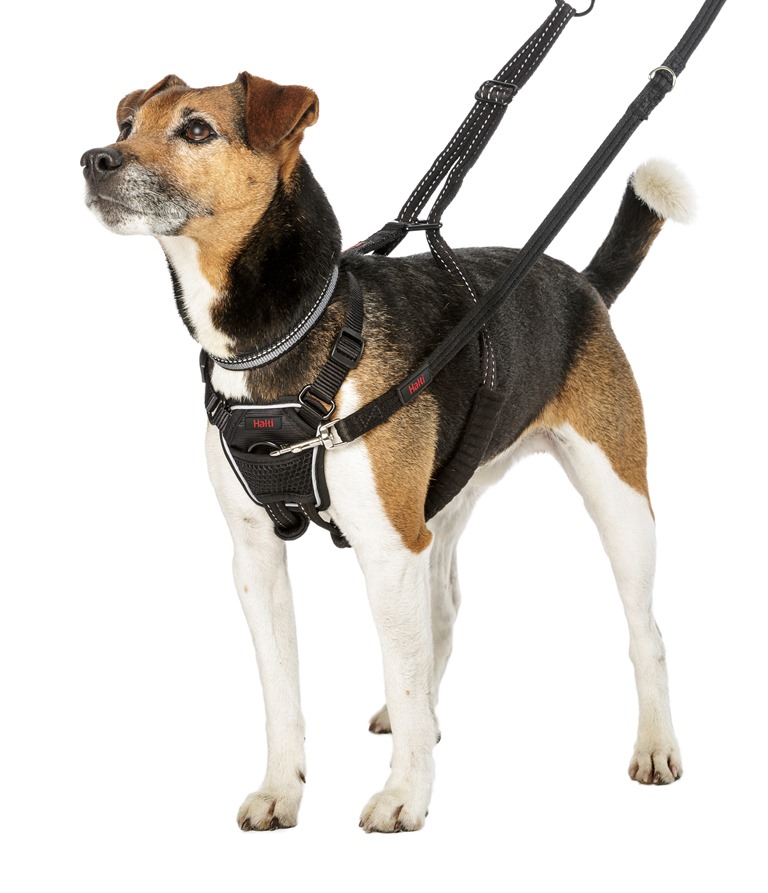 COA Шлейка для собак препятствующая натяжению "HALTI No Pull", черная, 22-36см (Великобритания)